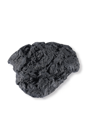 (Mongolian) Cow Dung, 1990/2009 (535)