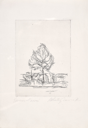 L'arbre