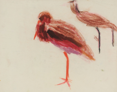 Marabu