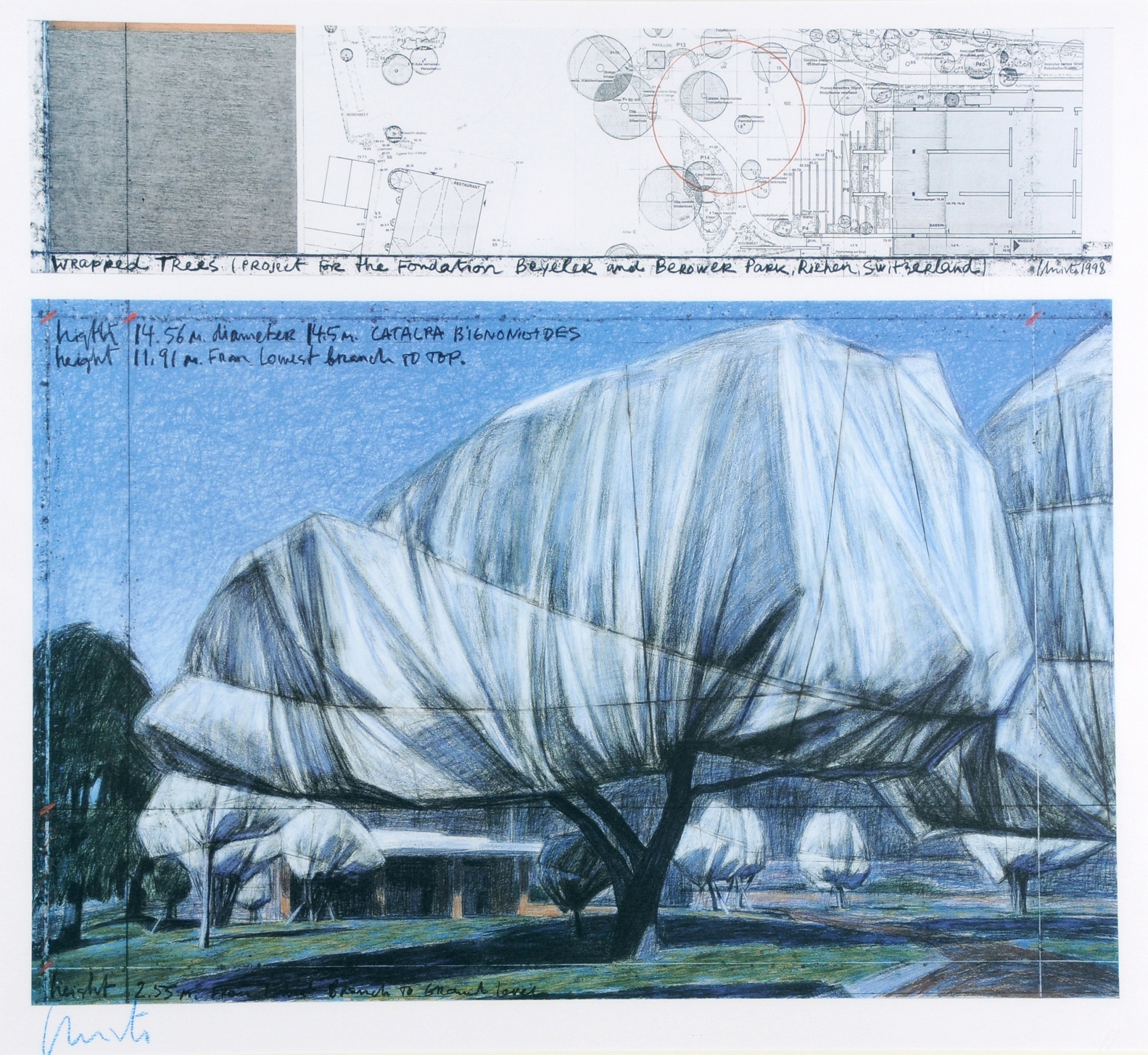 Christo, Wrapped Trees, Project for the Fondation Beyeler and Berower Park, Riehen, Switzerland