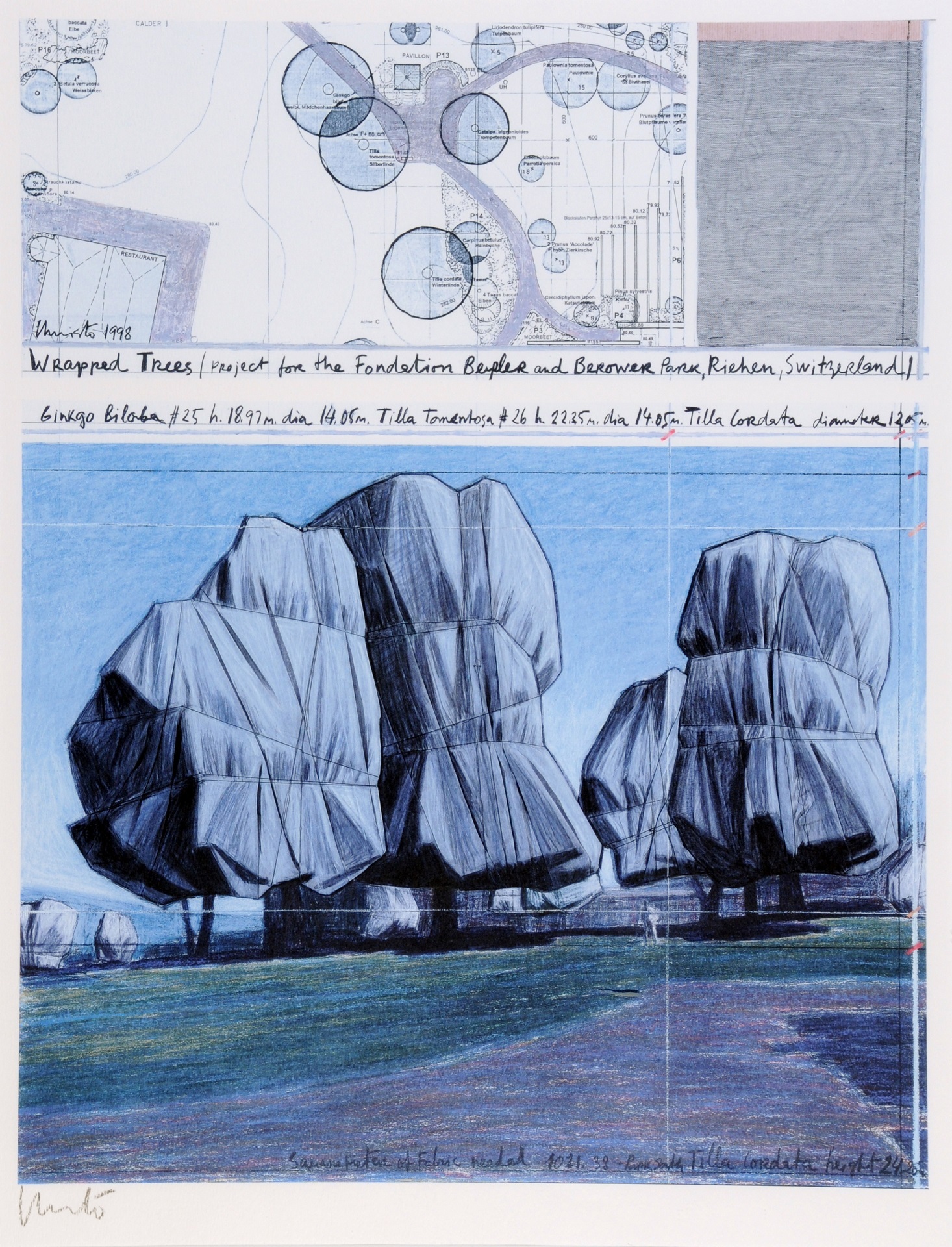 Christo, Wrapped Trees, Project for the Fondation Beyeler and Berower Park, Riehen, Switzerland