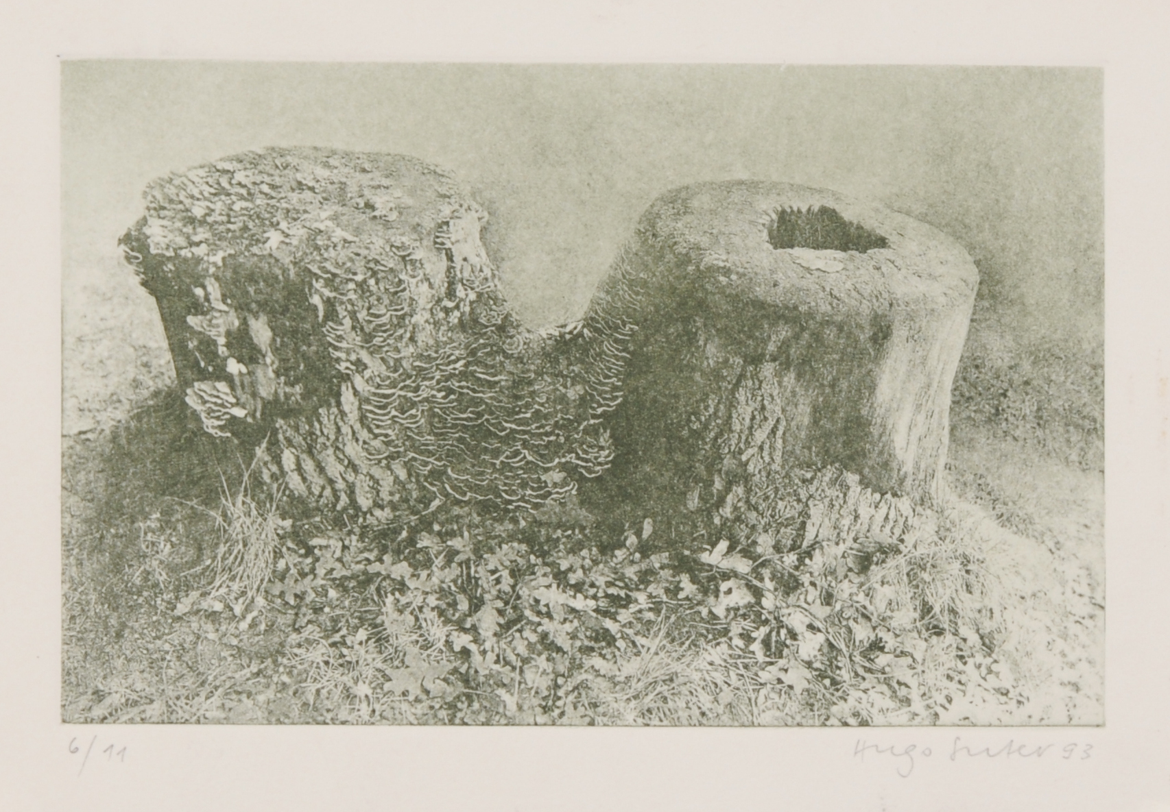 Hugo Suter, 5 sheets: Untitled, 1979; Untitled, 1982 (2); Ohne Title, 1986; Untitled