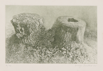5 sheets: Untitled, 1979; Untitled, 1982 (2); Ohne Title, 1986; Untitled