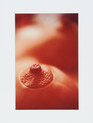 Nipple with Diamond, from "House without Walls"