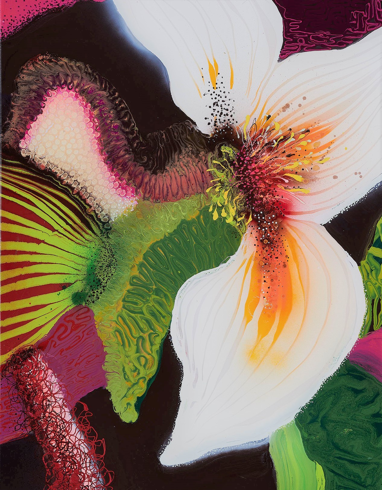 Thierry Feuz, Calypso