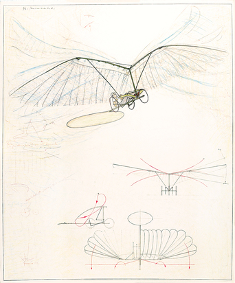 Flapping Wing Aircraft