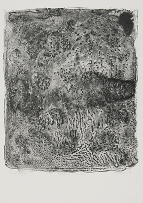 Epanchement aux pustules