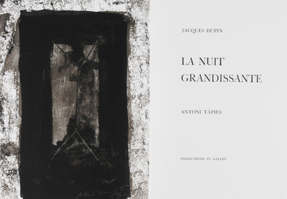 Portfolio. La nuit grandissante