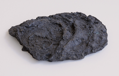Cow Dung