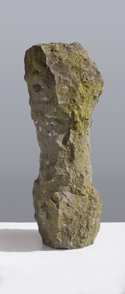 Torso
