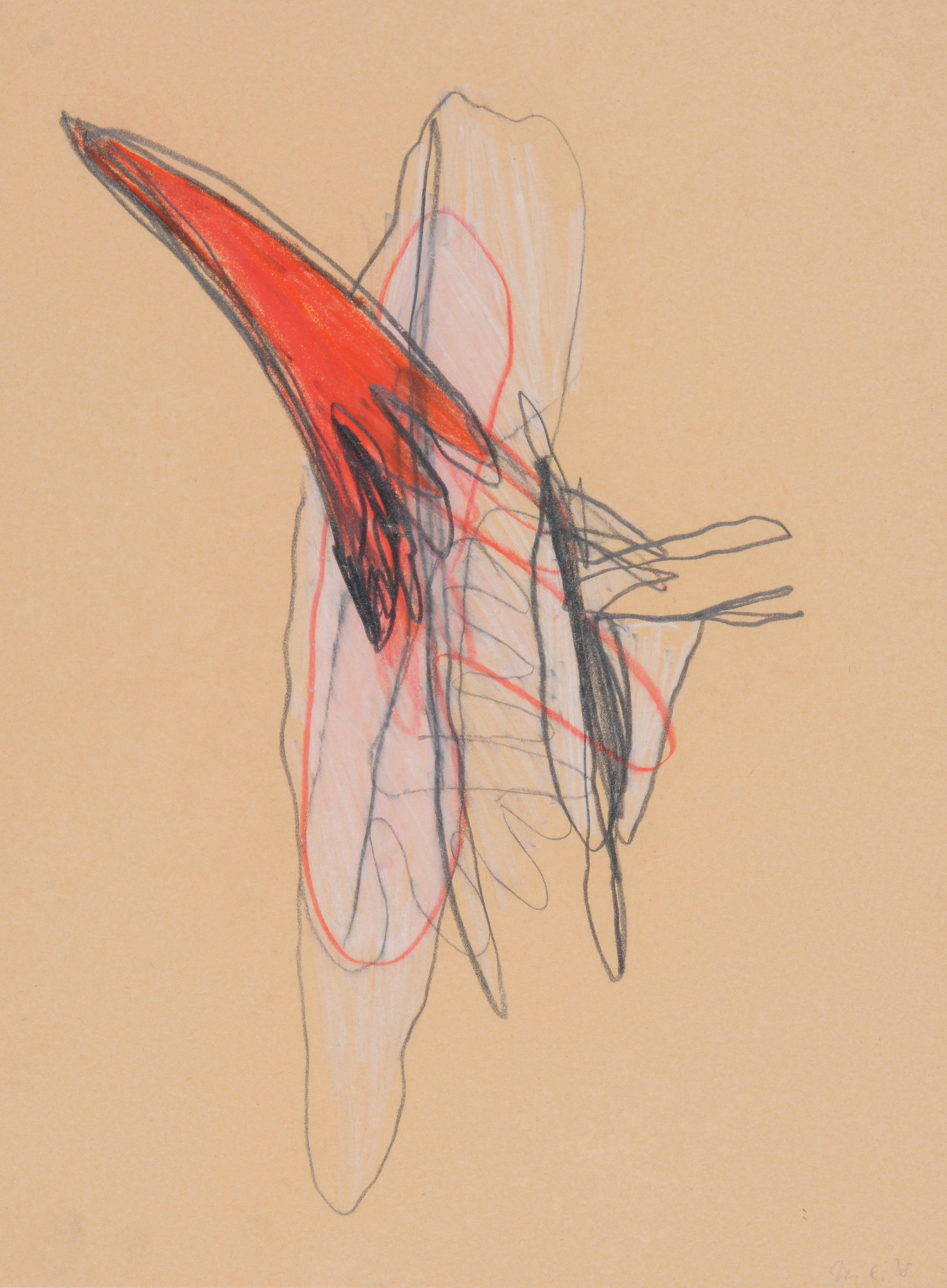 Marianne Eigenheer, Untitled
