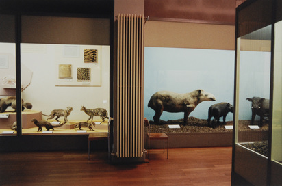 Naturhistorisches Museum Basel