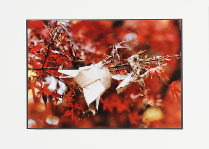 Portfolio. Omikuji (Tokyo, Kyoto, Nara, Izumo)