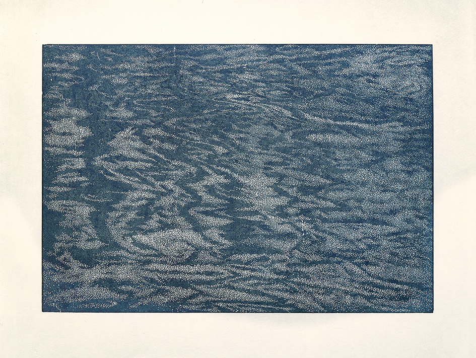 Franz Gertsch, Wasserstudie
