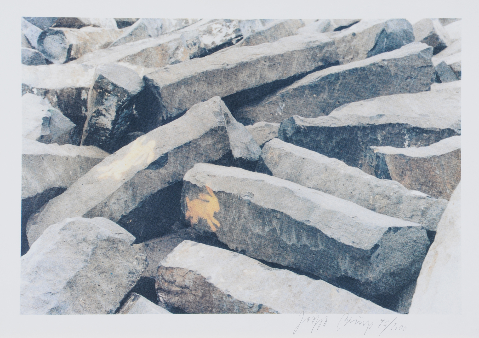 Joseph Beuys, 7000 Eichen