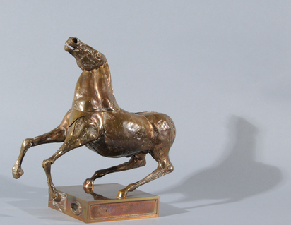 Il cavallo