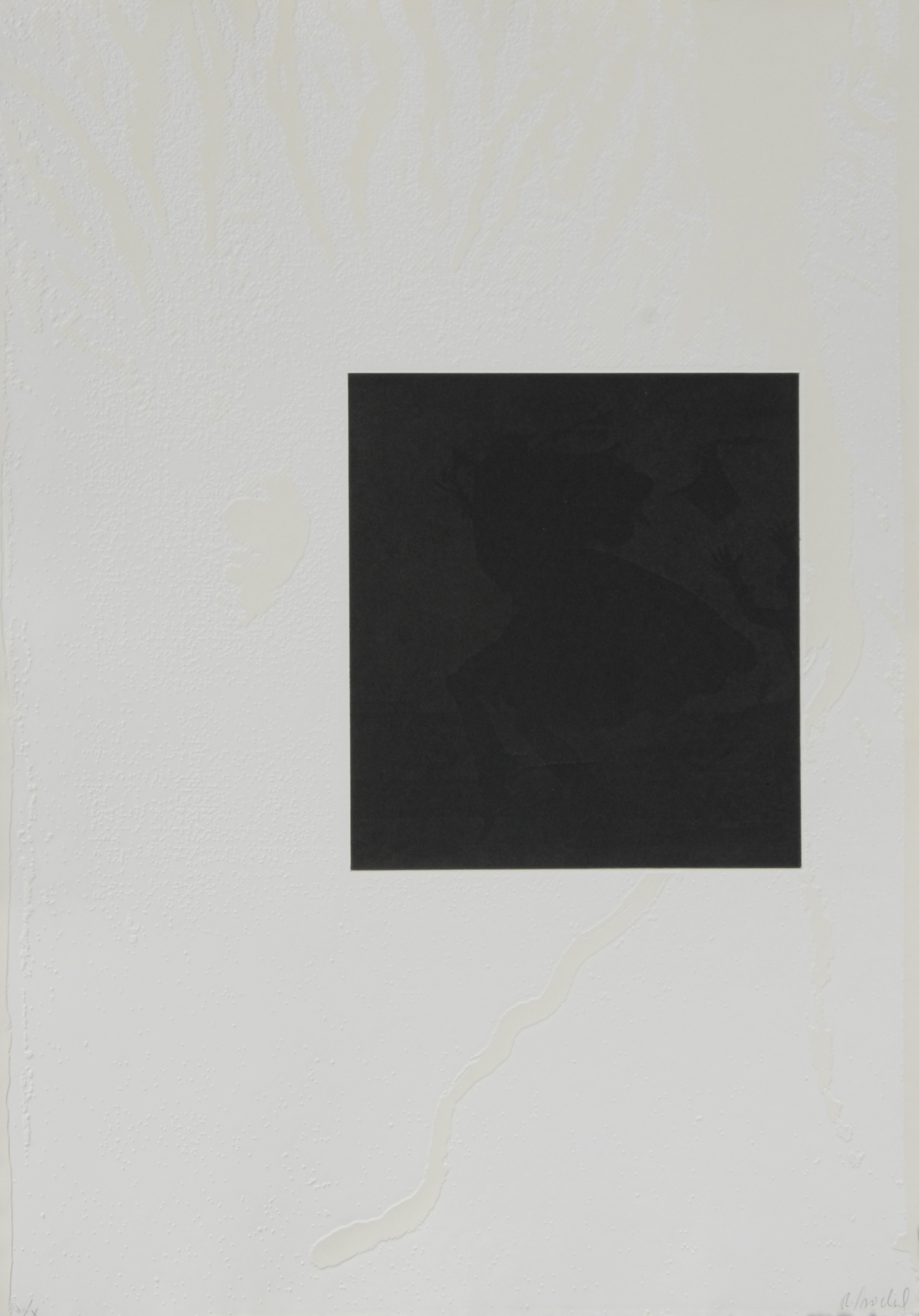 Rosemarie Trockel, Portfolio. White Carrot