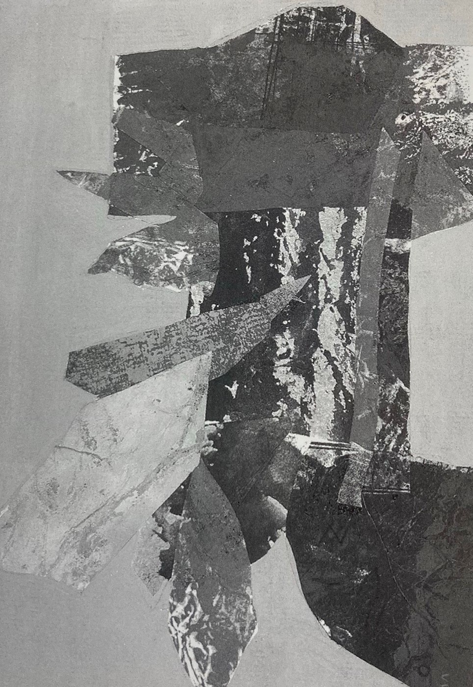 Sonja Sekula, Insect, 1959