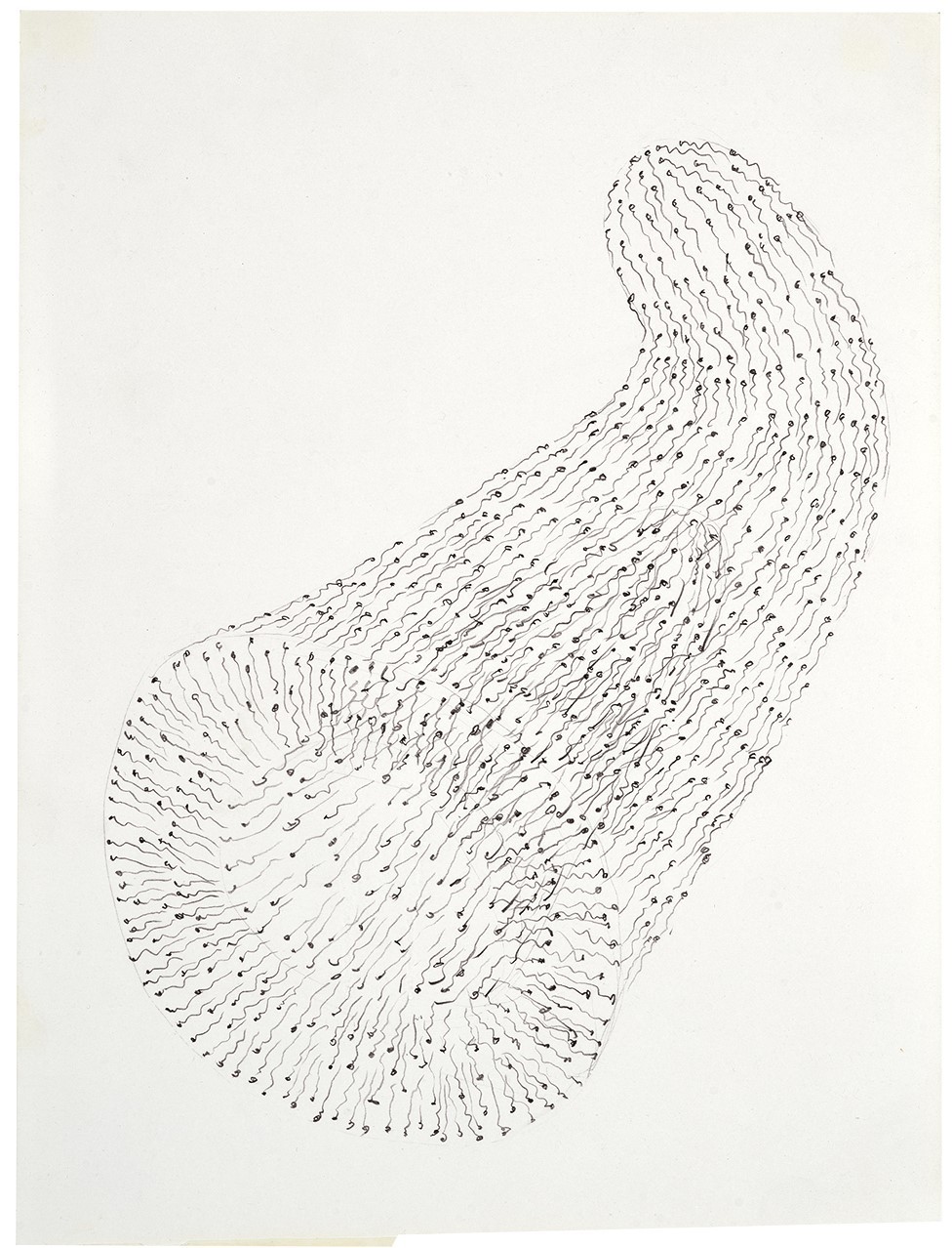 Tony Cragg, Untitled