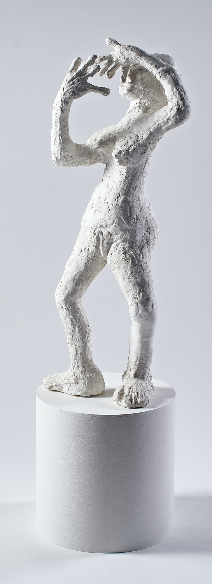 Klaudia Schifferle, Schattenspiel