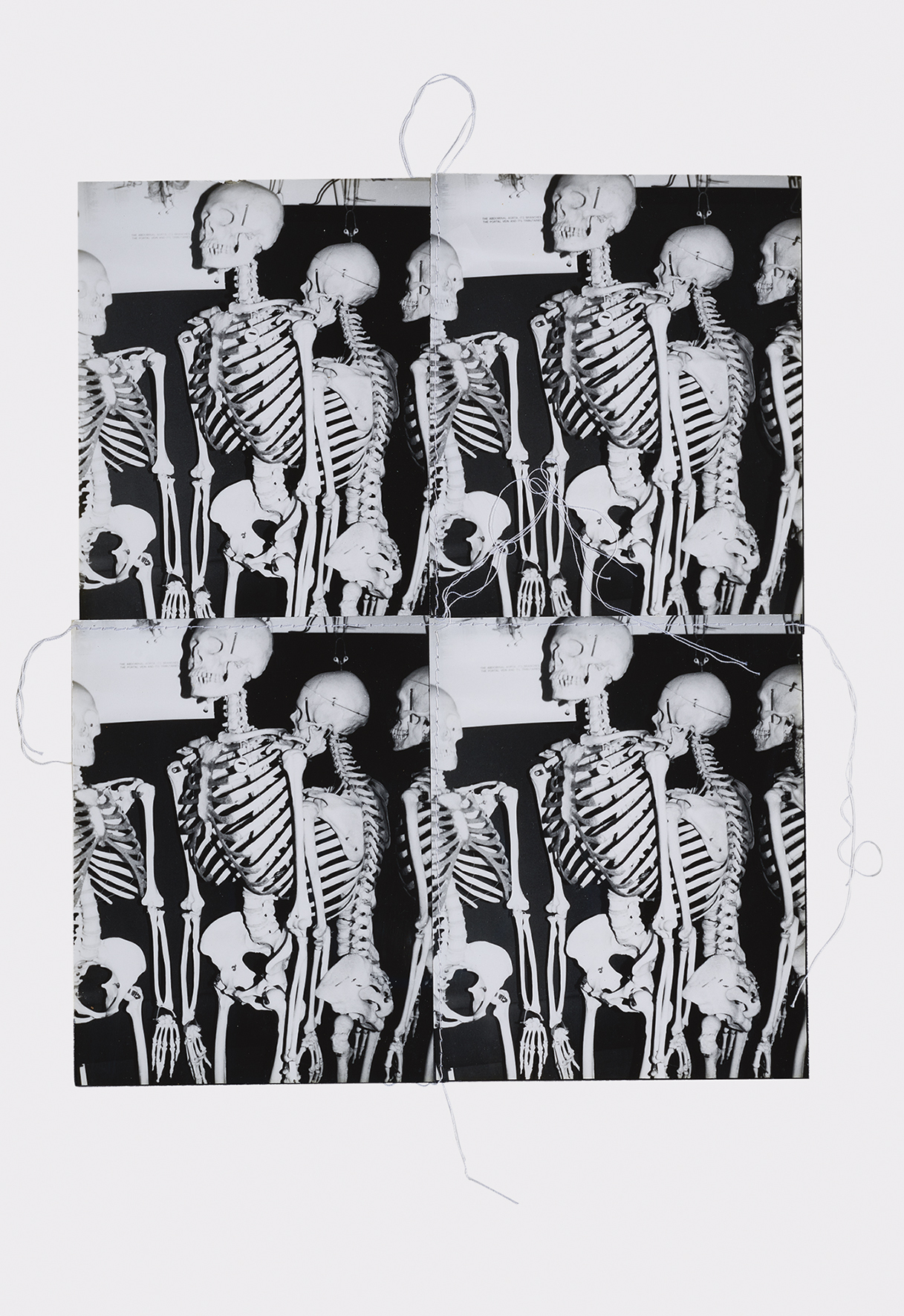 Andy Warhol, Photo-Edition for Parkett