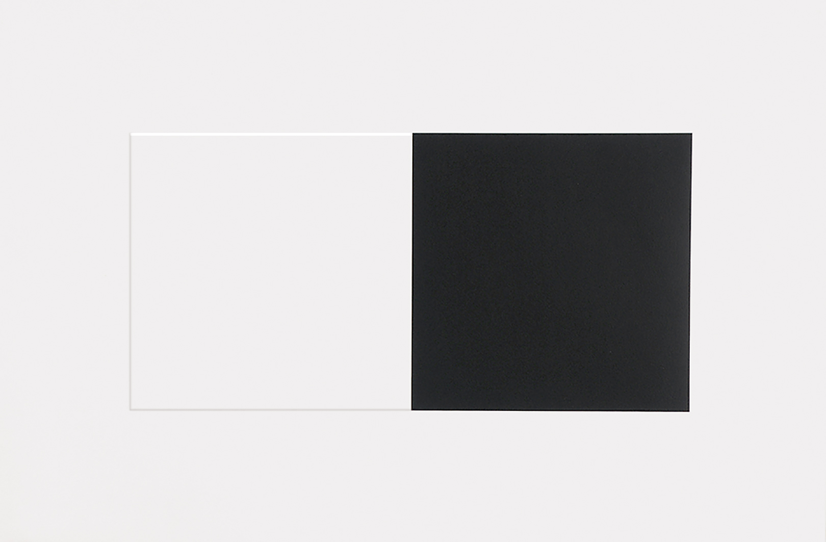 Ellsworth Kelly, White and Black