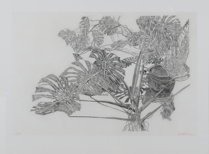 Philodendrons (gris)