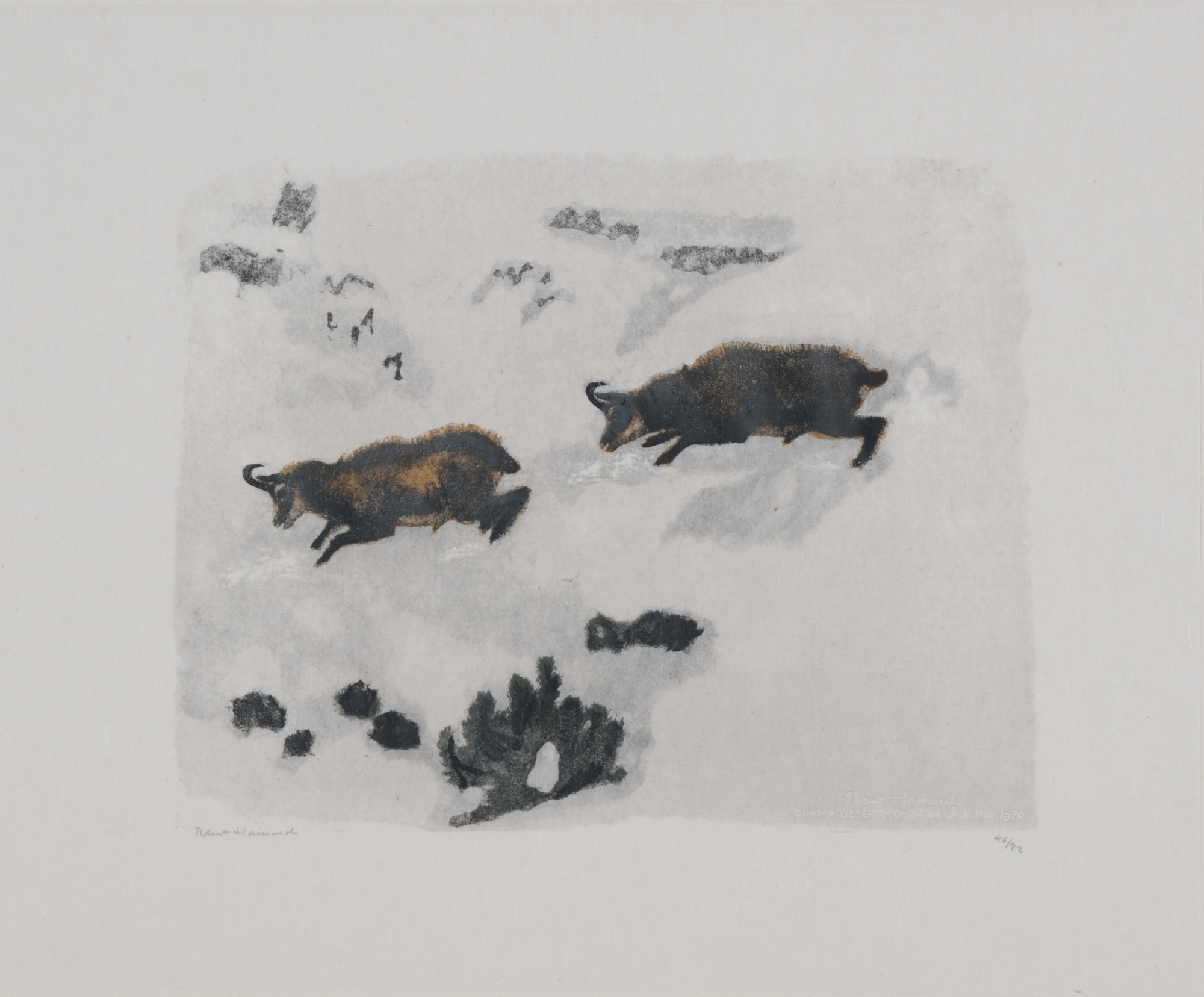 Robert Hainard, Chamois