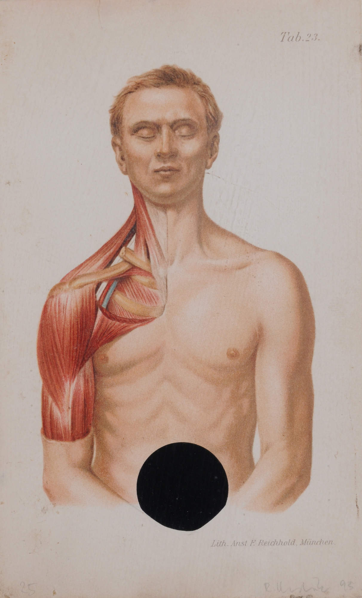 Roman Ondák, Untitled