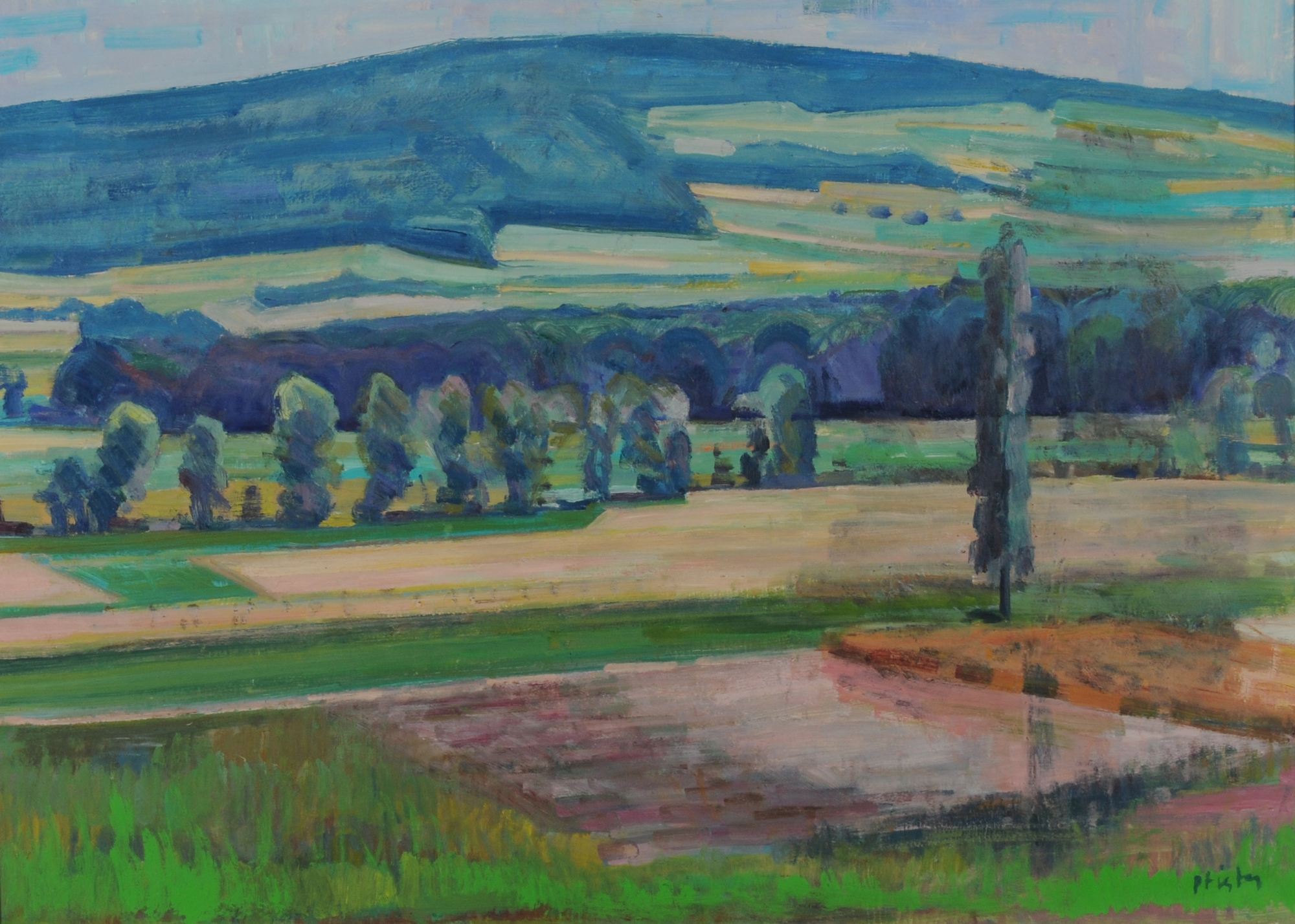 Albert Pfister, Landscape at Pfannenstiel