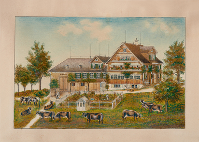 Weidende Kühe vor Toggenburgerhaus