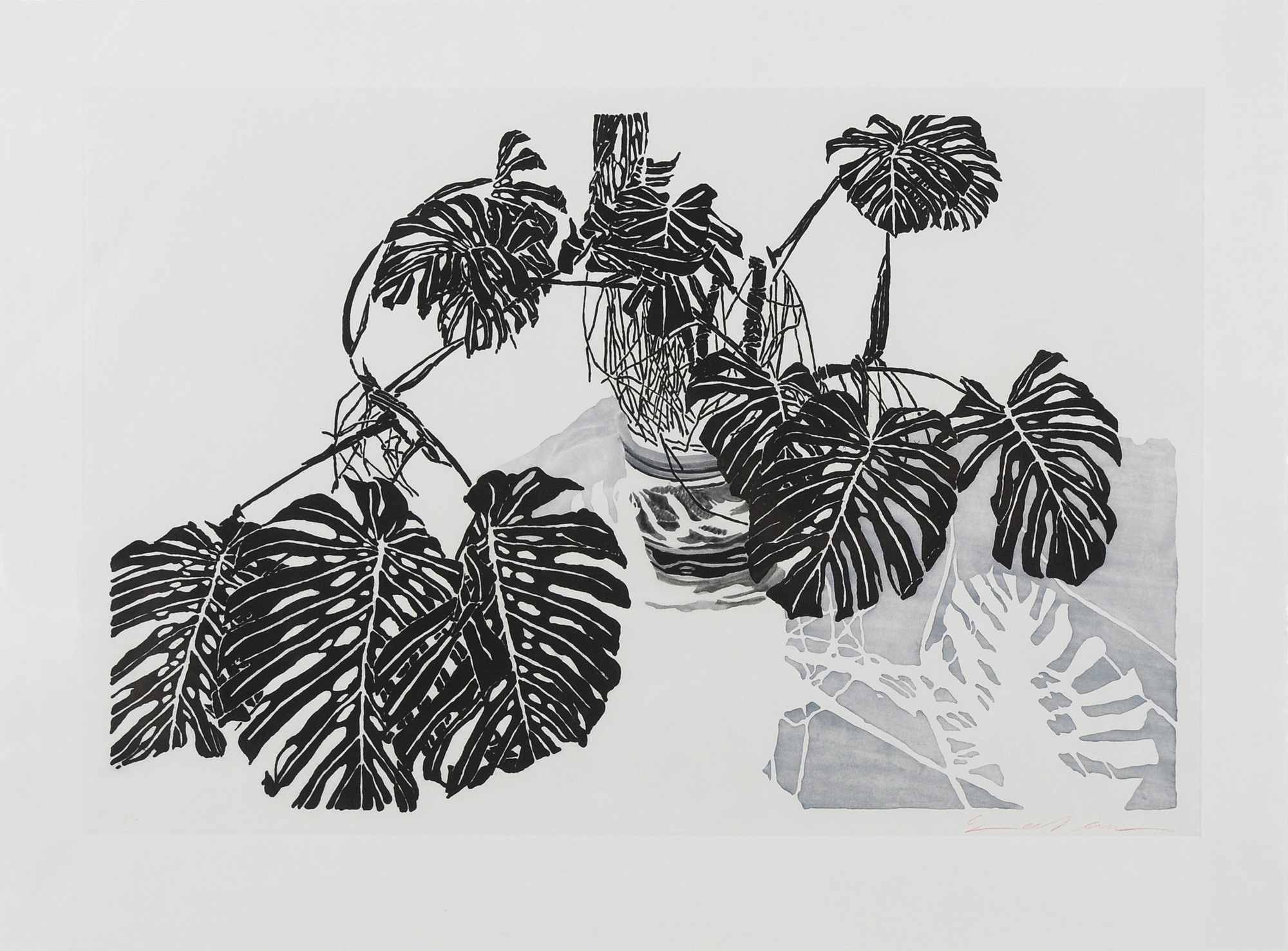 Sam Szafran, Philodendrons (gris bleu et ombre bleutée)