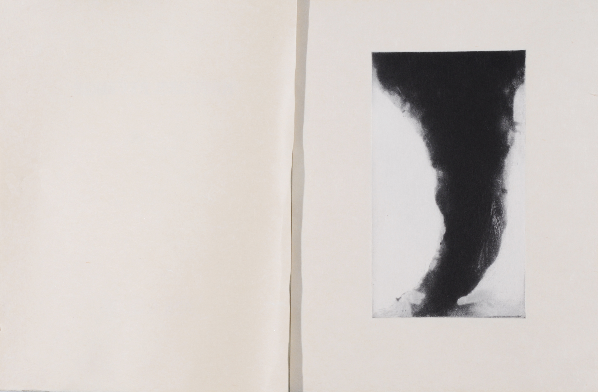 Joe Goode, Portfolio. Nature's Revenge