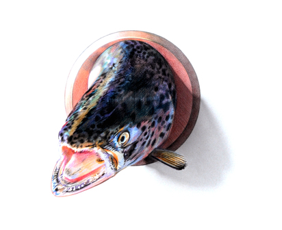 Lachskopf (Head of a Salmon)