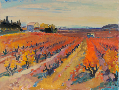 Reblandschaft Provence