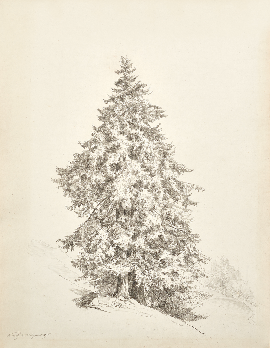 Robert Zünd, Neualp
