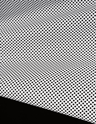 Raster-02-2013
