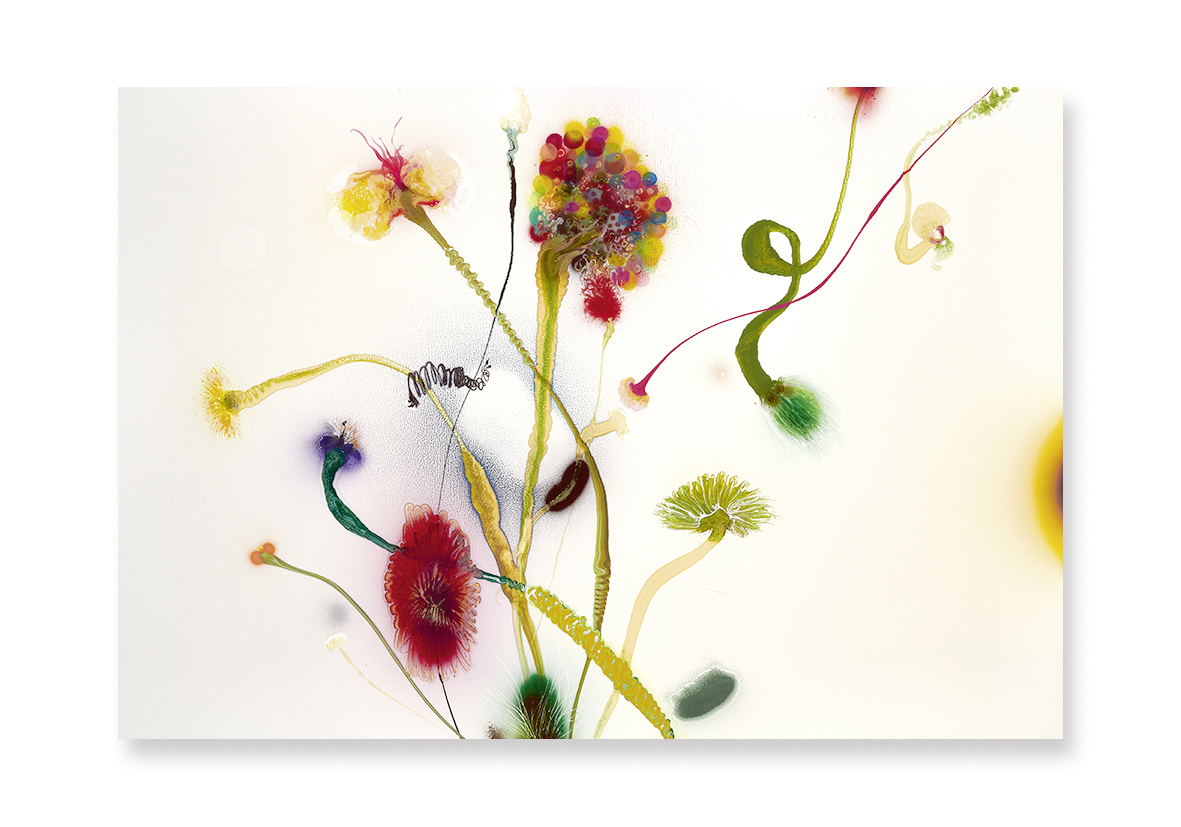 Thierry Feuz, Psychotropical maximum radiance 2