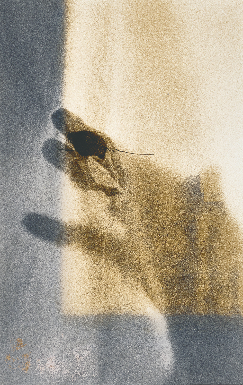 Helena Almeida, Détail, aus "Work n° 33"