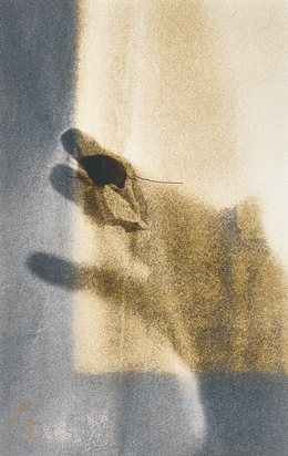 Détail, aus "Work n° 33"