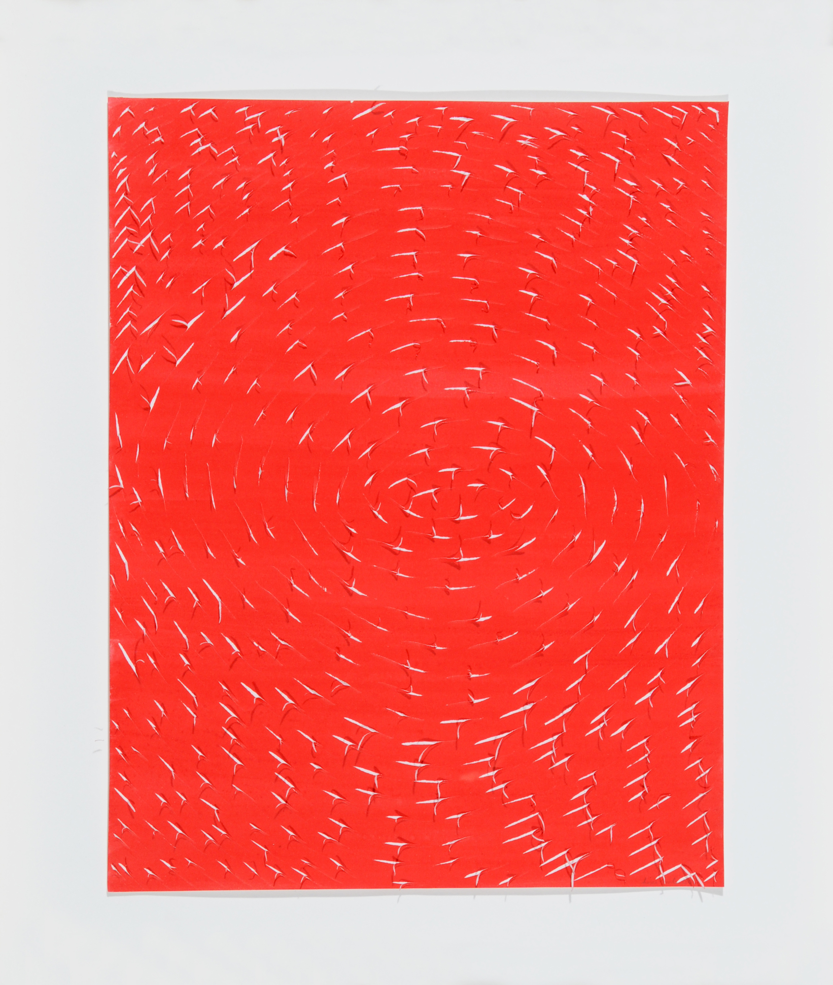 Lisa Enderli, Untitled