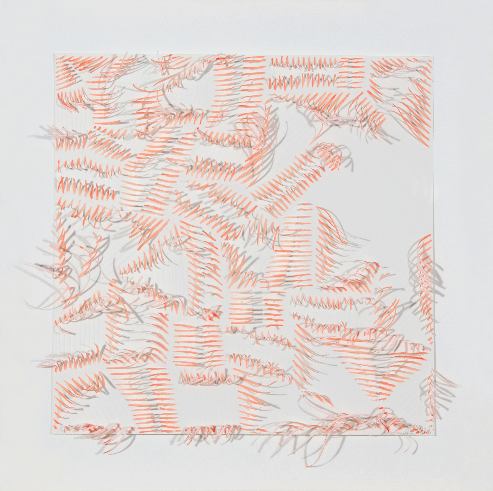 Lisa Enderli, Untitled