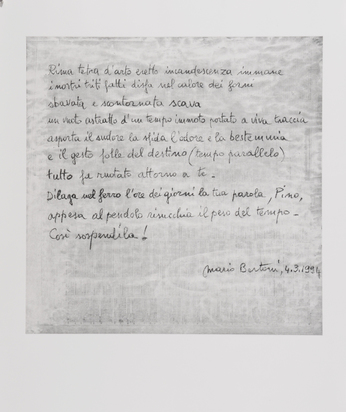Portfolio. Campo sospeso