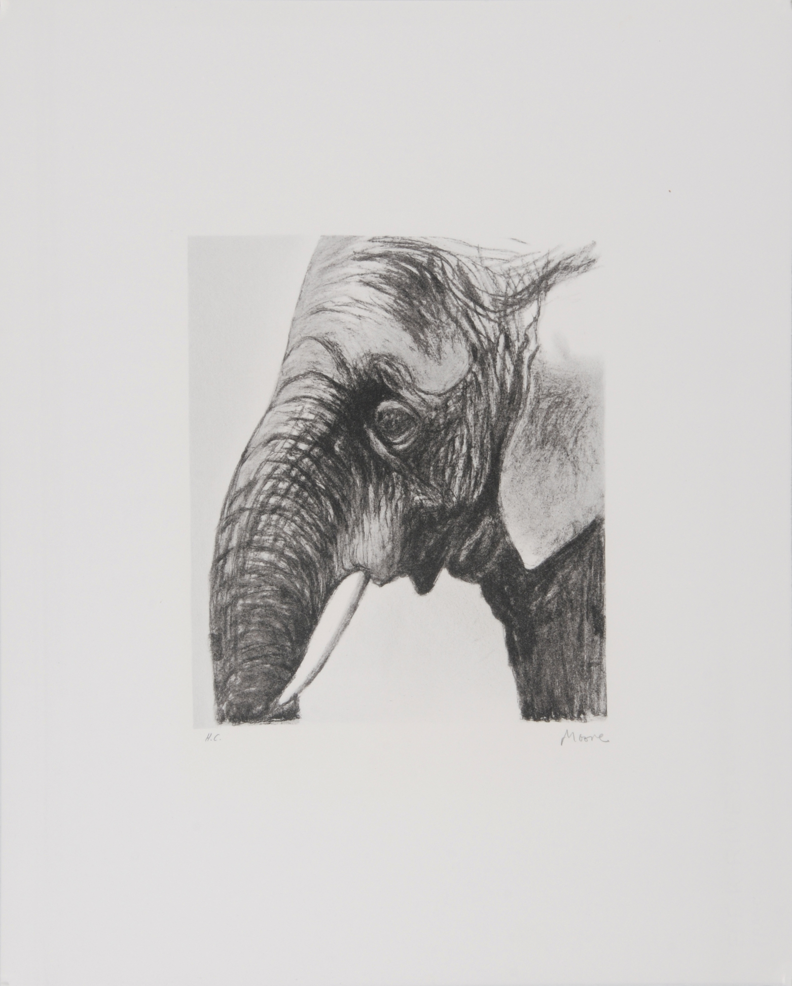 Henry Moore, Elephant's Head