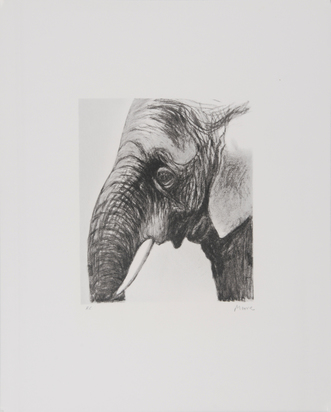 Elephant's Head