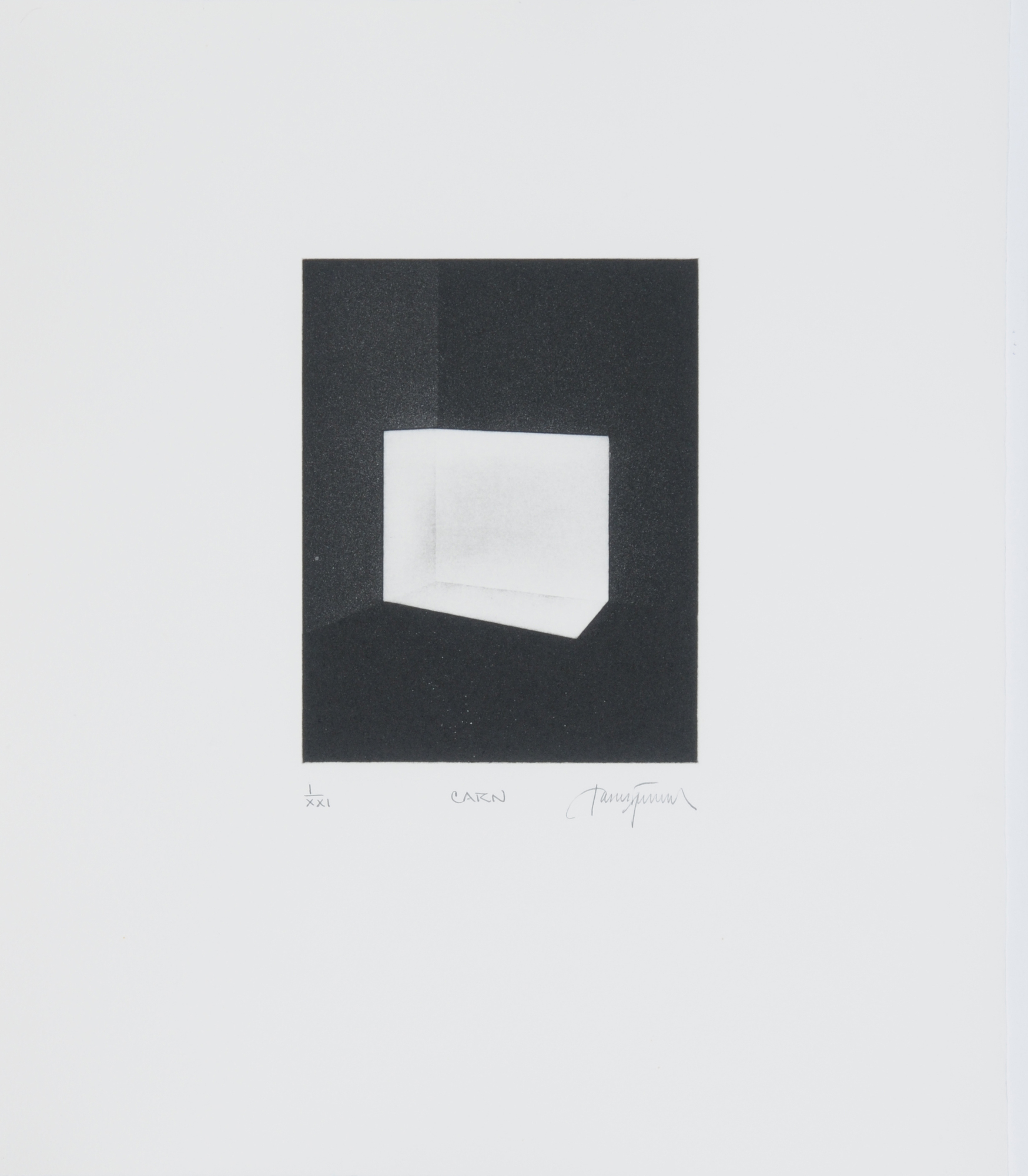 James Turrell, Carn