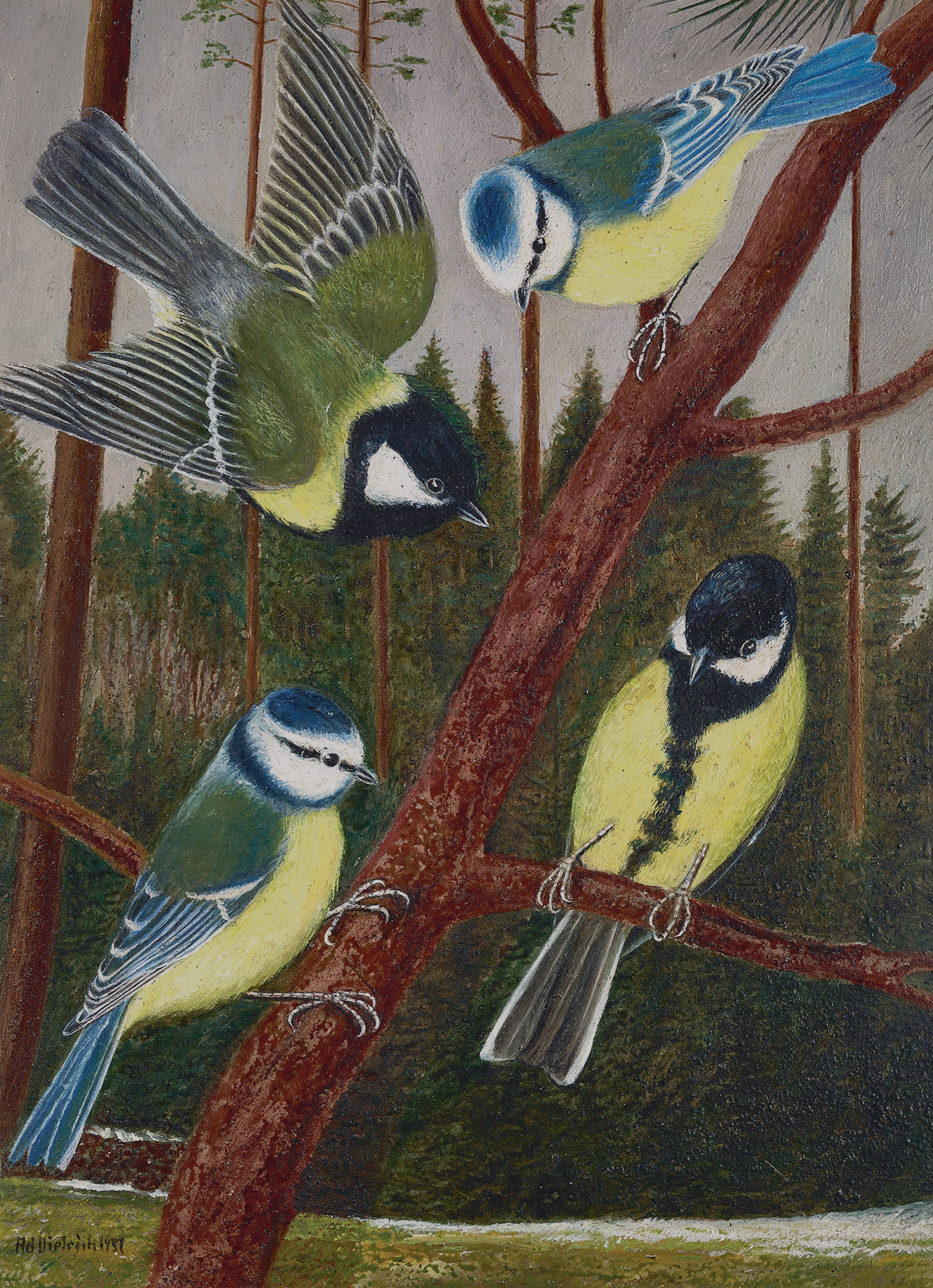 Adolf Dietrich, Vier Meisen vor Wald (Four tits in front of forest)
