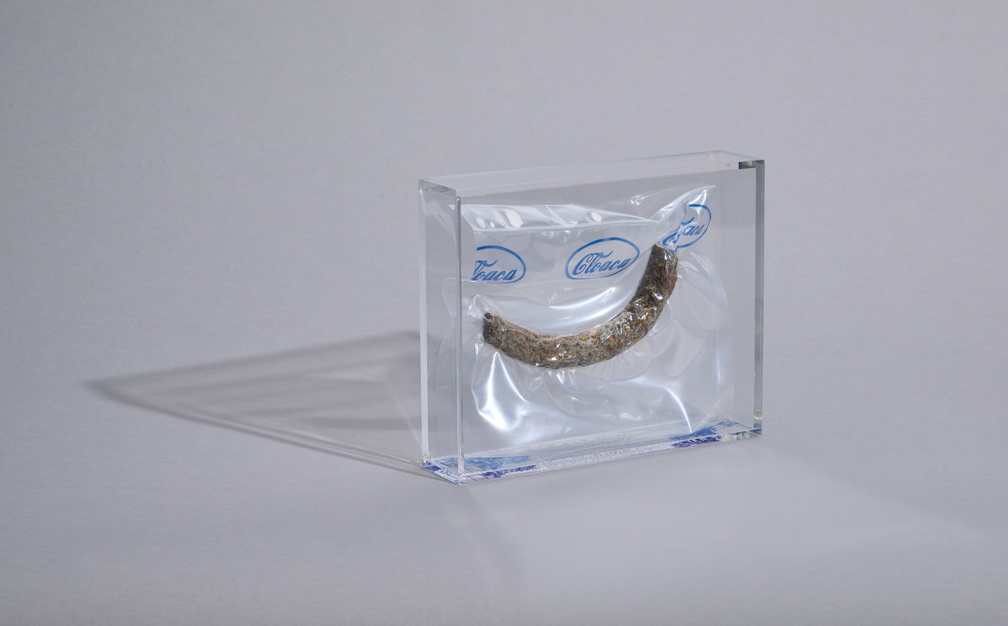 Wim Delvoye, Cloaca Cyber Faeces