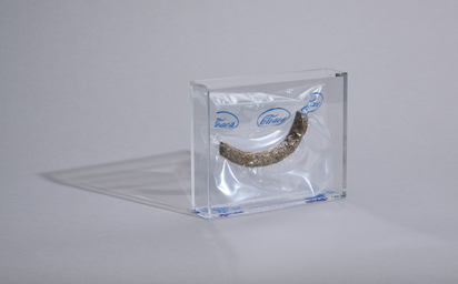 Cloaca Cyber Faeces