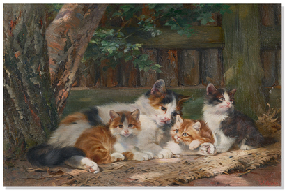 Kätzchen (Kittens)